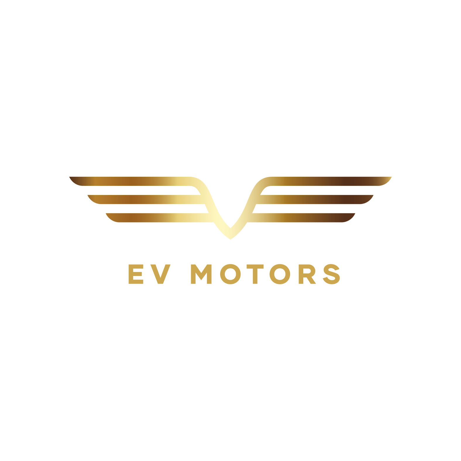 EV MOTORS