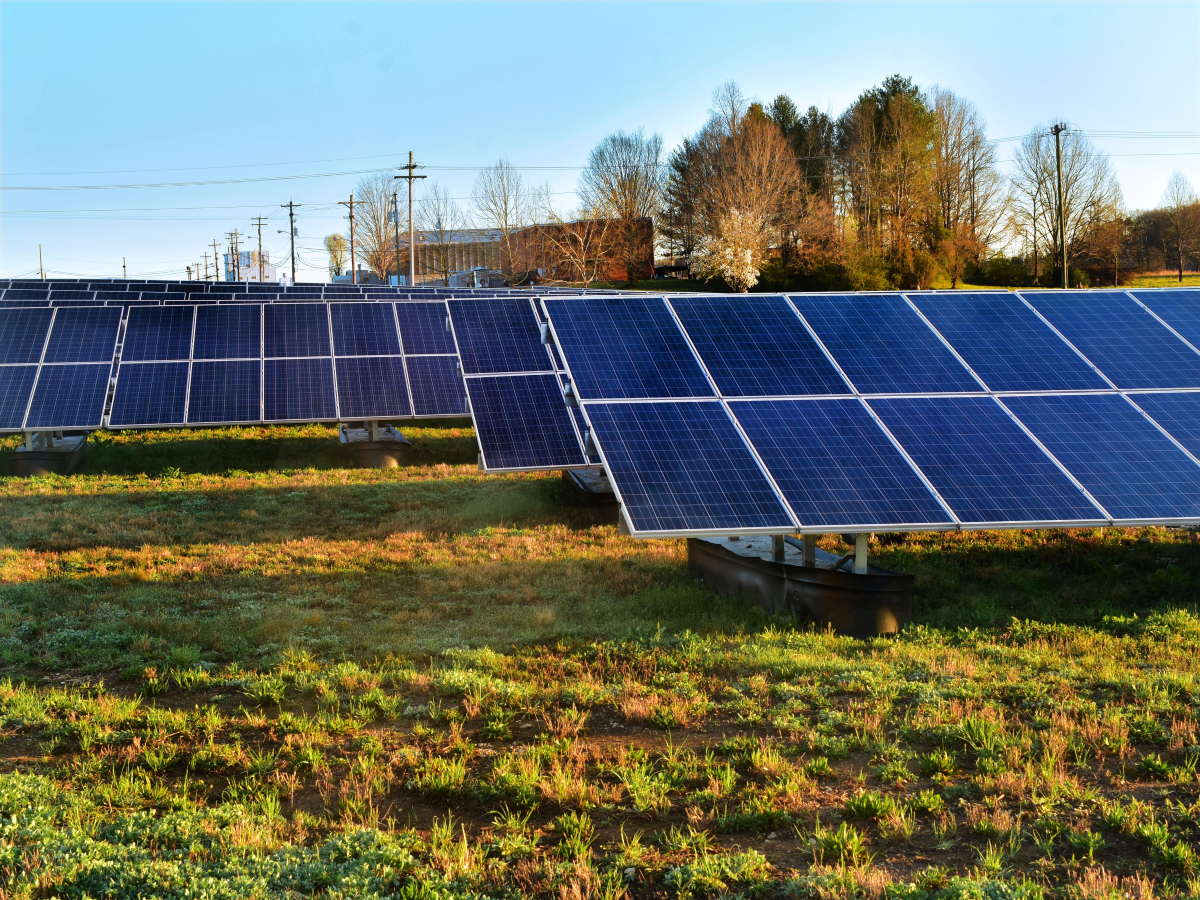 Commumity microgrids employ renewable energy resources